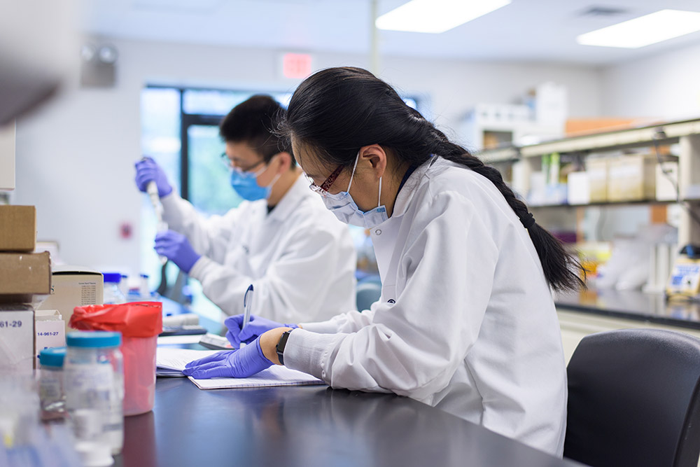 Dmpk bioanalytical jobs in india