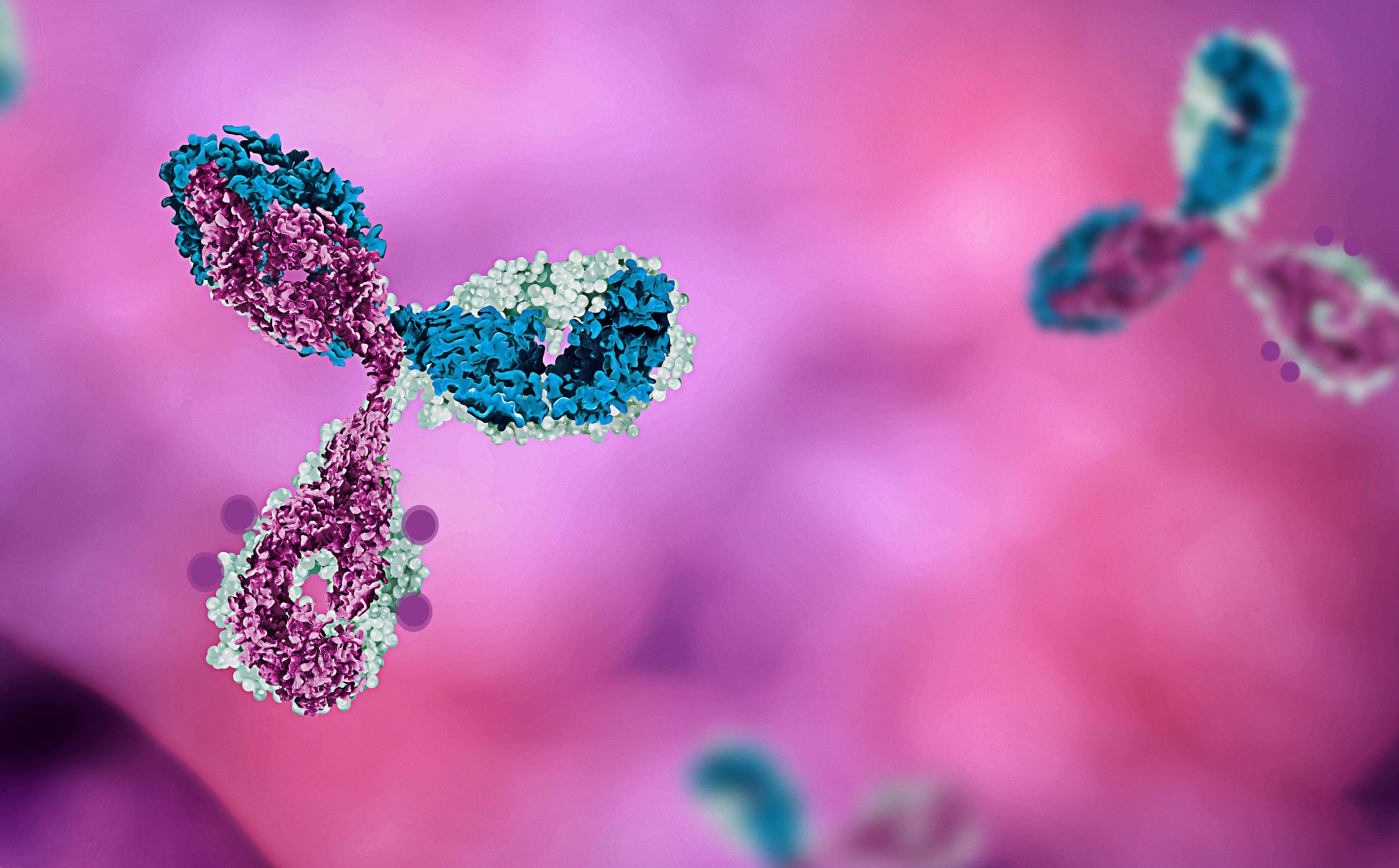 ADC Webinar – “Bioanalytical Strategies for PK Analysis of Antibody–Drug Conjugate (ADC) Therapeutics using LC–HRMS and LC–MS/MS”