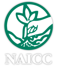 2020 NAICC Annual Meeting