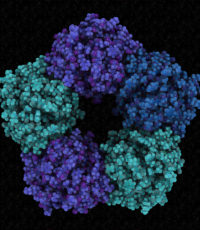 Webinar: Biomarker Bioanalysis Support to the Drug Development and Personalized Medicine