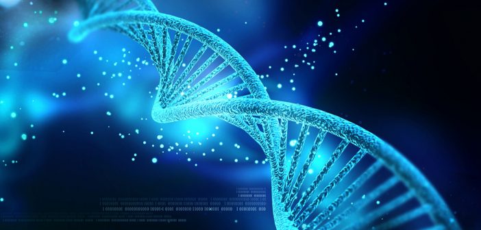 Genetic Toxicology