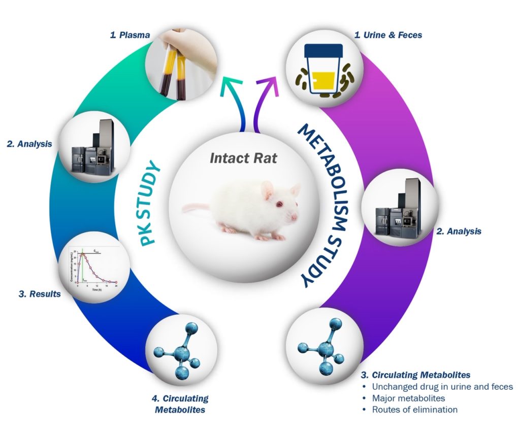 Metabolite Identification and Profiling Frontage Laboratories