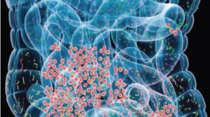 Applications & Solutions Microbiome Fact Sheet Photo 300x168 - Applications & Solutions