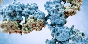 ADC Bioanalytical Strategies for PK Analysis of Antibody Drug Conjugate…