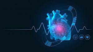 Heart - Safety Pharmacology