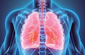 Lungs 300x194 - Safety Pharmacology