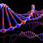 16S rDNA Amplicon Sequencing of Mock Microbial Community Standards