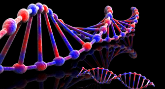 16S rDNA Amplicon Sequencing of Mock Microbial Community Standards