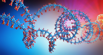 Biofluid and Exosome Small RNA Sequencing