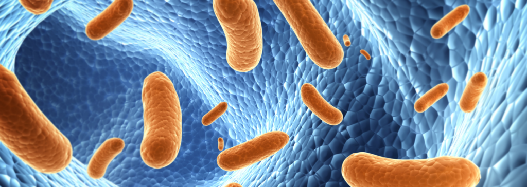 gut microbiome blog post