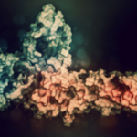 Ligand Binding Assays (LBAs) and Critical Reagents