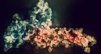 Ligand Binding Assays (LBAs) and Critical Reagents