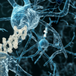 pTau217 Biomarker Assay