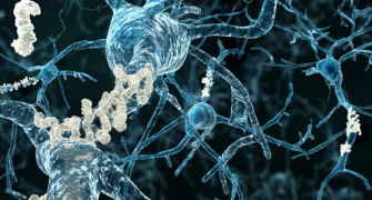 pTau217 Biomarker Assay