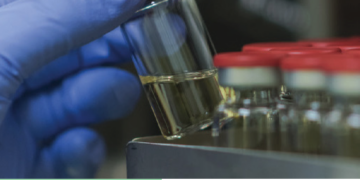 NDA, 505b(2) and ANDA Product Development Services