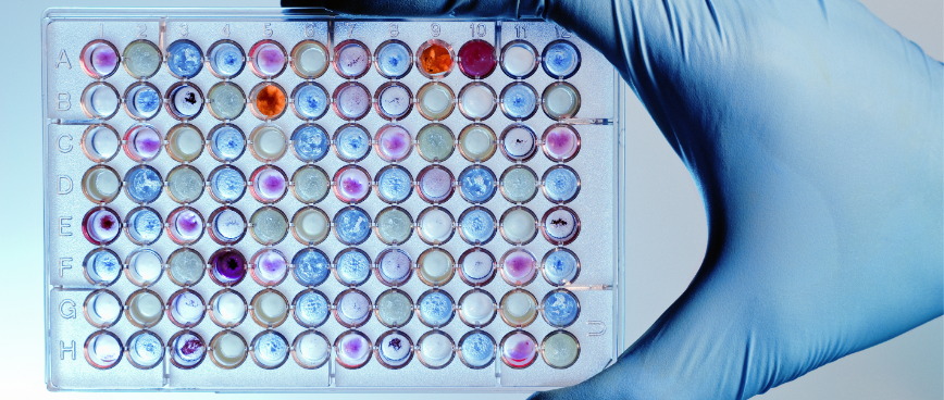 In Vitro Services