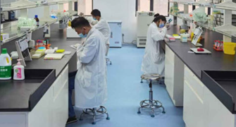 Overview of Cell-Free Assay Services