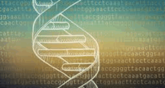 RNA-Seq Workflow Optimization for Heavily Degraded FFPE Samples with GLP & GCLP Compliance