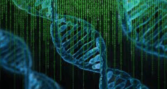 AAPS 2024: A GxP-Qualified dPCR-Based RCL Assay to Quantify Replication Competent Lentivirus in Bioanalytical Samples