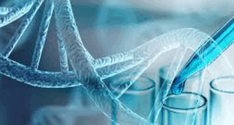 Exome sequencing shows same pattern of clonal tumor mutational burden, intratumor heterogenicity and clonal neoantigen between autologous tumor and Vigil product
