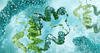 ACS 2025: Quantitative Analysis of Cyclic Peptide by LC MS/MS with Mixed Acid Modifier Mobile Phases