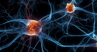 AAIC 2025: Comparison of Plasma pTau217 Assays on Different Platforms