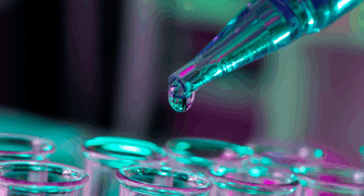 Genotoxic Potential of Benzo[b]Fluoranthene (B[b]F):A Probable Human Carcinogen