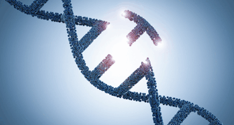 Duplex Sequencing: A Powerful Tool for In Vivo Gene Mutation