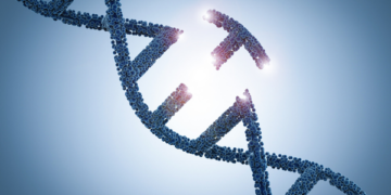 DNA Damage Evaluation of Benzo[b]fluoranthene (B[b]F) Using Rat Liver Comet Assay