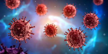 Biophysical Characterization of Adeno-Associated Virus (AAV) Vectors Using Orthogonal Analytical Technologies
